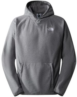 The North Face Hoodies - Gray