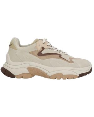 Ash Sneakers - Neutro
