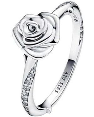 PANDORA Rings - Mettallic
