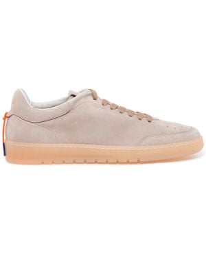 Barracuda Trainers - Grey