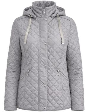 Danwear Winter Jackets - Gris