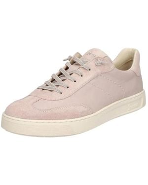 Sioux Sneakers - Pink