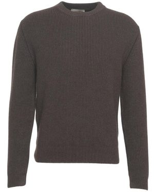 Daniele Fiesoli Klassischer Gerippter Kaschmirpullover Aw25 - Grau