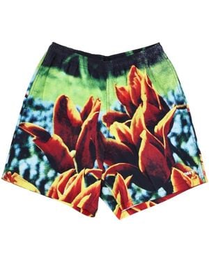 Obey Casual Shorts - Blue