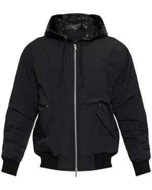Moose Knuckles Down Jackets - Azul