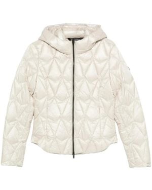 Moose Knuckles Winter Jackets - Neutre
