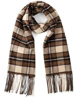 Woolrich Winter Scarves - Multicolore
