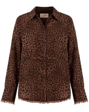 MC2 Saint Barth Overhemden ,Bruin ,Shirts
