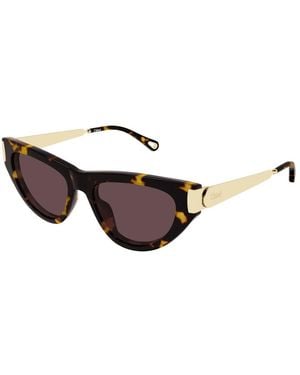 Chloé Holly Sonnenbrille - Braun