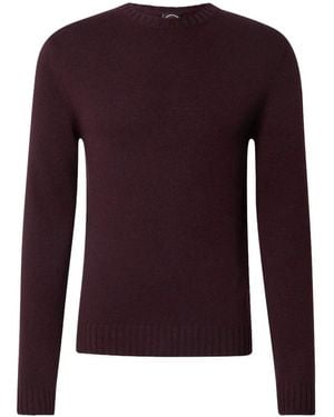 Colmar Kasjmier Crew-Neck Sweater - Paars