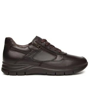 Nero Giardini Leder-Sneaker Mit Reißverschluss, Hergestellt - Schwarz