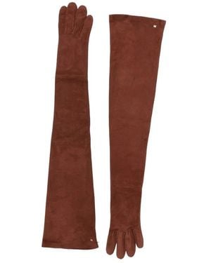 Max Mara Gloves - Marron