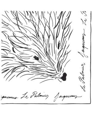 Jacquemus Silky Scarves - Blanco