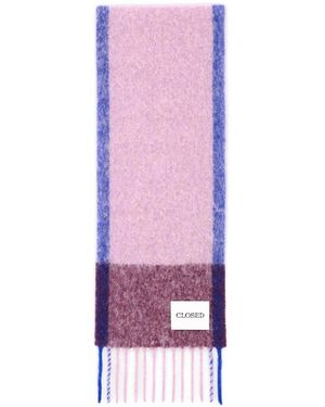Closed Winter Scarves - Paars