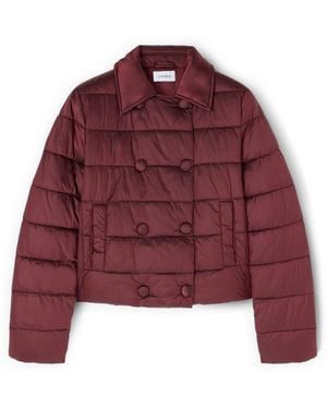 mötivi Winter Jackets - Morado