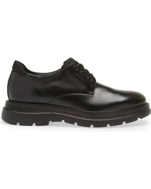 Stuart Weitzman Laced Shoes - Negro