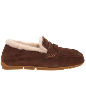 Ash Loafers - Marrón