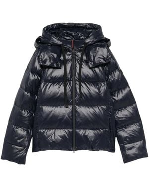 Peuterey Winter Jackets - Azul