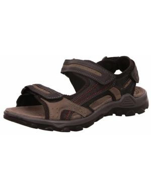 Rohde Sandalen - Braun