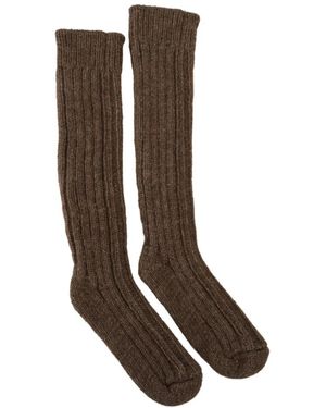 Dolce & Gabbana Socks - Brown
