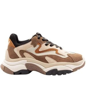 Ash Sneakers - Marron
