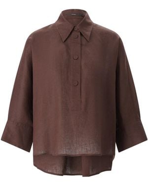 Windsor. Shirts - Marron