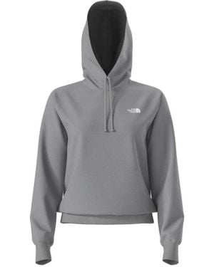 The North Face Evo Sd Reg Hoodie - Grijs