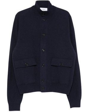 Lardini Cardigans - Bleu