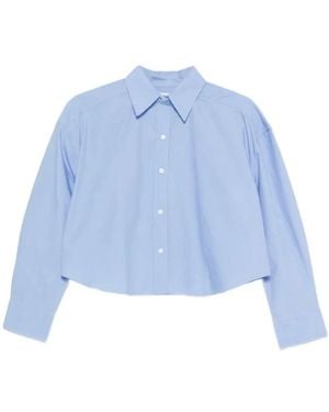 Calvin Klein Shirts - Blue