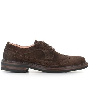 Astorflex Laced Shoes - Brown