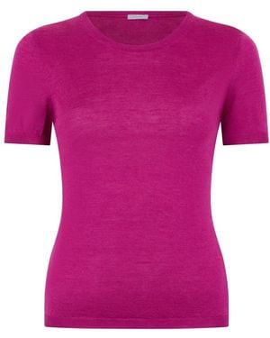 Malo Cashmere Knitwear - Purple