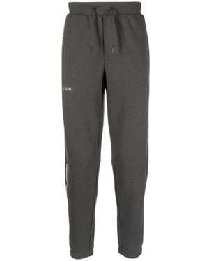 EA7 Sweatpants - Gris