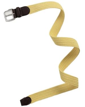 GANT Riemen - Metallic