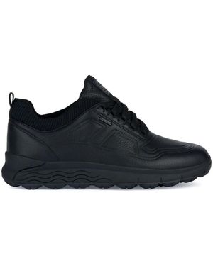 Geox Trainers - Black