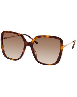 Chloé Sunglasses - Brown