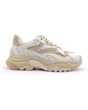 Ash Trainers - White