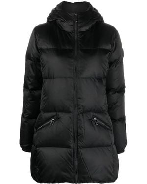 Tommy Hilfiger Winter Jackets - Zwart