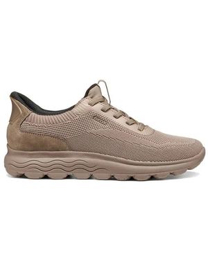 Geox Sneakers - Gris