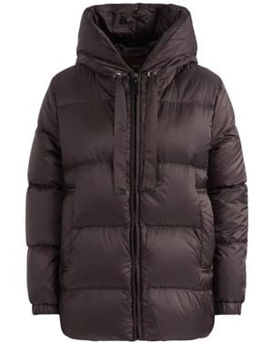 Max Mara Winter Jackets - Marrón