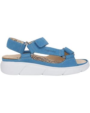 Ganter Wedges - Azul