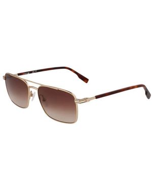 Lacoste Sunglasses - Brown