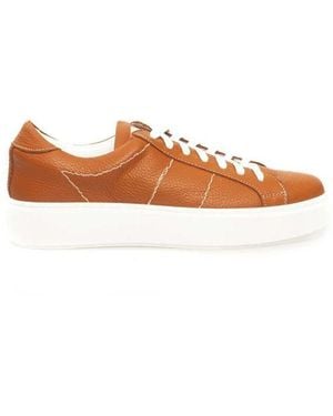 Cerruti 1881 Trainers - Brown