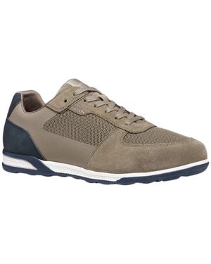 Geox Sneakers - Gris