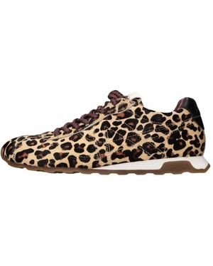 Ash Sneakers - Marron