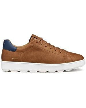 Geox Sneakers - Marrone