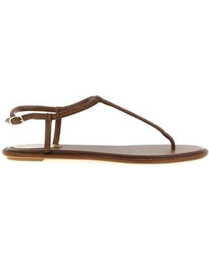 Rene Caovilla Flat Sandals - Brown