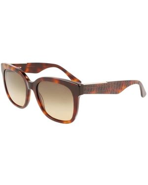 Lacoste Sunglasses - Marron