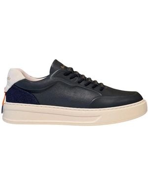 Barracuda Sneakers - Bleu