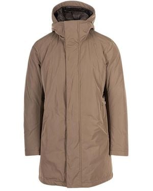 Montecore Down Coats - Brown
