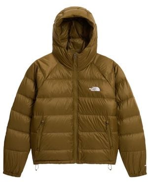 The North Face Training Jackets - Verde